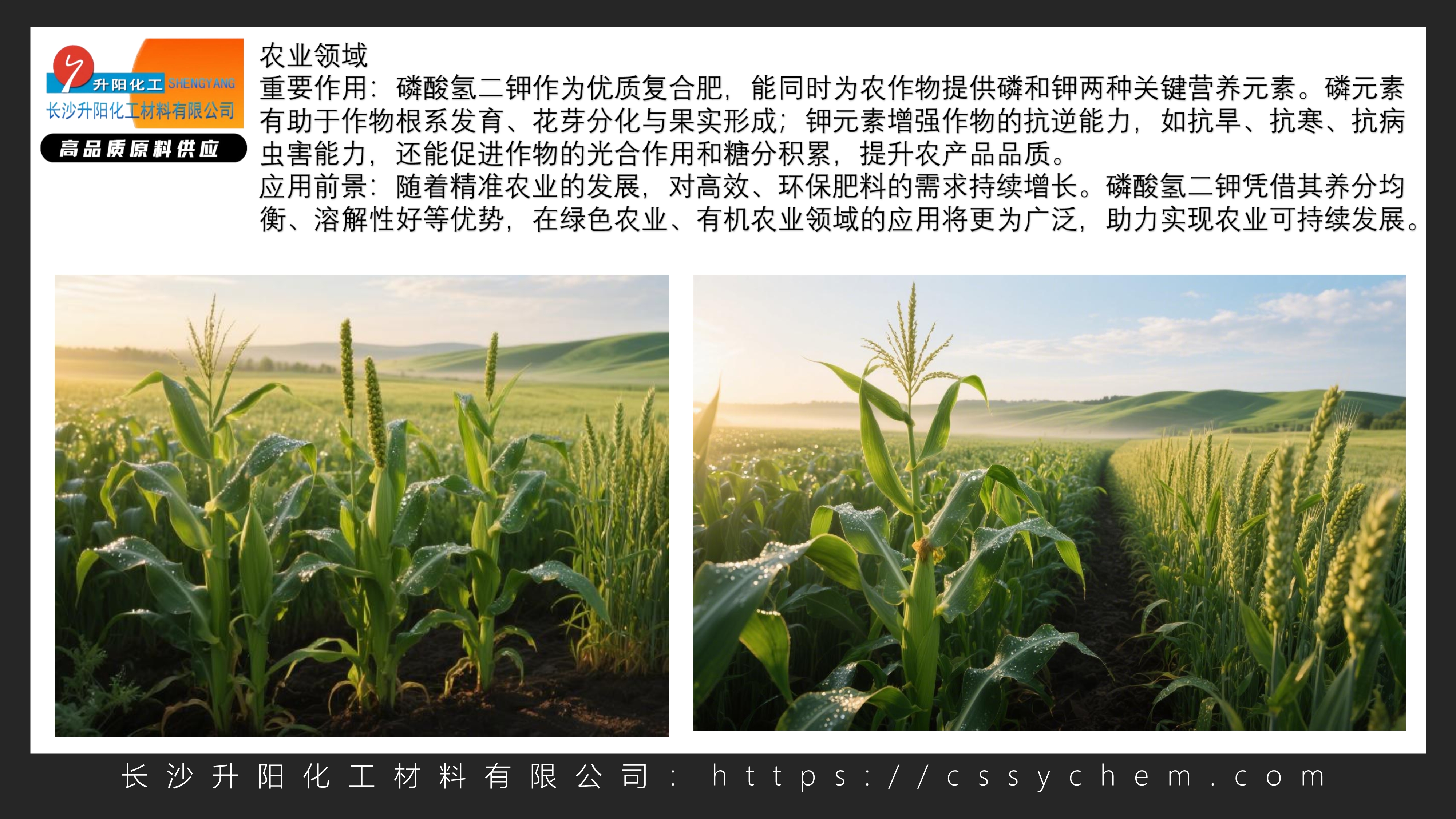 1756804336708185.jpg 磷酸氫二鉀_image2_out.jpg