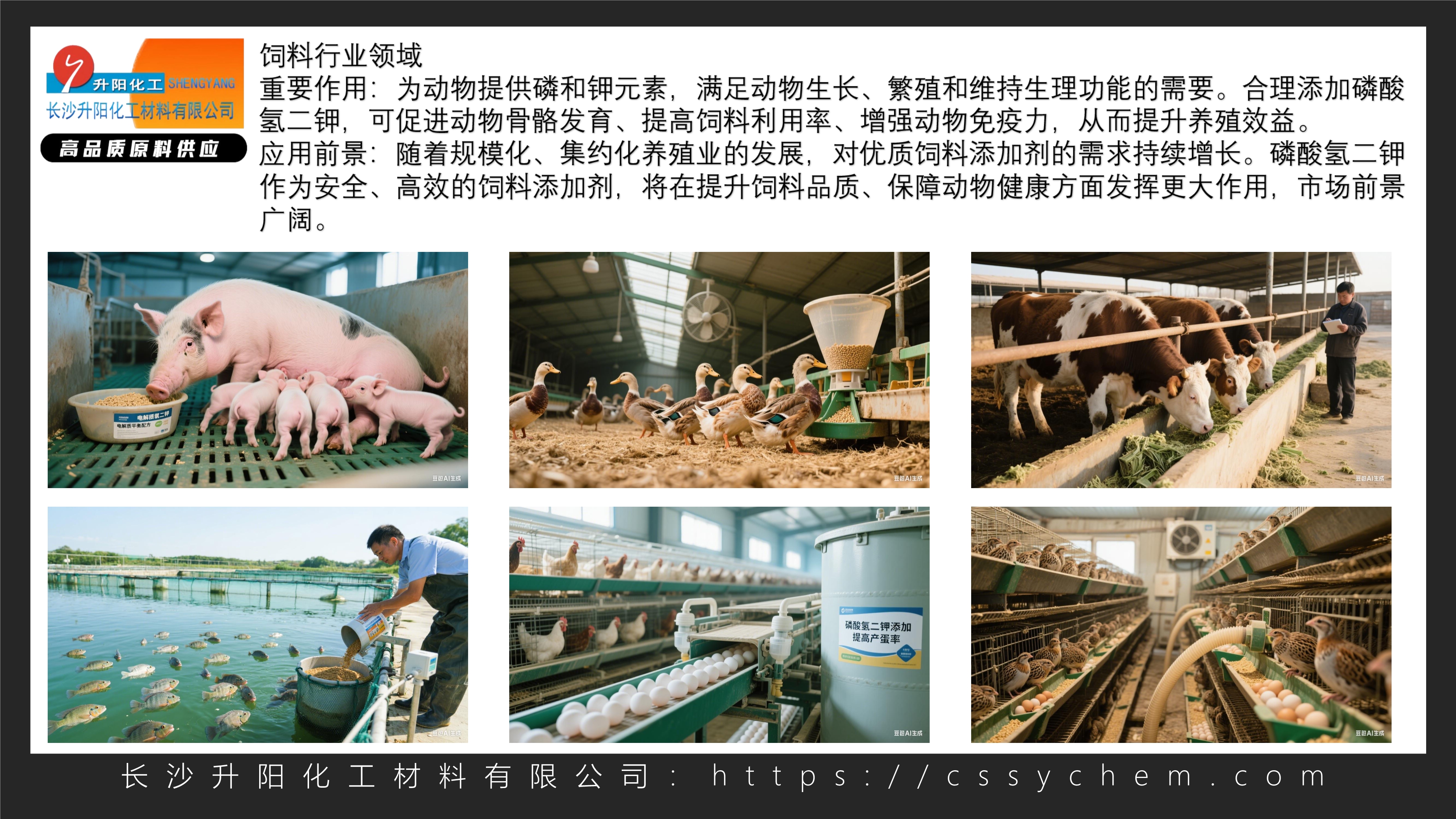 1756804391822065.jpg 磷酸氫二鉀_image6_out.jpg